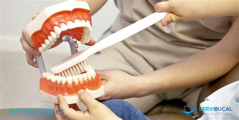 Tratamiento Dentales Más Demandados Y Frecuentes
