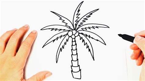 How To Draw A Palm Tree