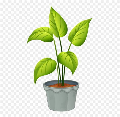 Plant Images Clipart 10 Free Cliparts Download Images On Clipground 2024