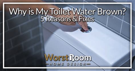 Why Is My Toilet Water Brown 5 Reasons And Fixes Worst Room