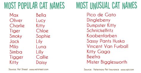 Talking Dogs at For Love of a Dog: Whats in a Cat Name