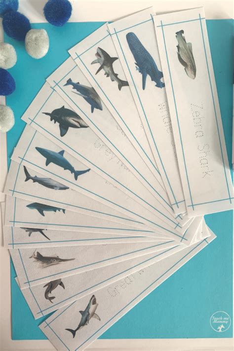 Shark Names Writing Practice - Teach Me Mommy