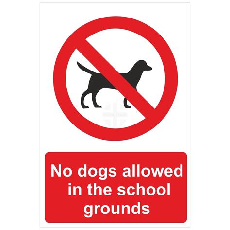 No Dogs Allowed Aluminum Dog Sign 9 X 12 Ph