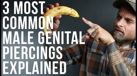 3 Most Common Male Genital Piercings Explained UrbanBodyJewelry Com