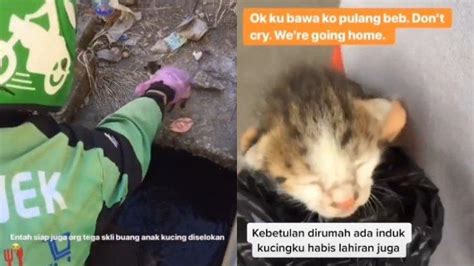 Ojol Ayang Full Vidio Ojol Viral Diajak Mantap Mantap Sama Cewek