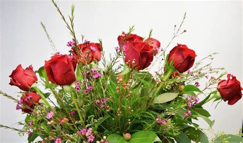 Romantic One Dozen Rose Arrangement In Hamilton Mt Flower Happy