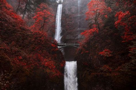 The Best Spots To Explore Fall Foliage In The Pacific Northwest