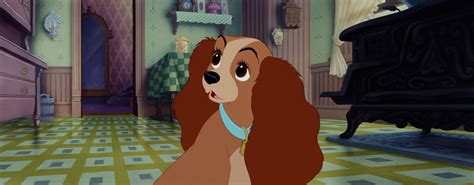 Screencap Gallery For Lady And The Tramp 1955 Lady And The Tramp