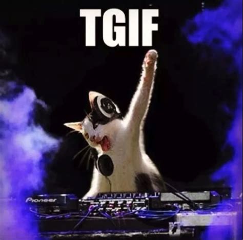 Friday Friday Meme Tgif Funny Friday Humor My Xxx Hot Girl