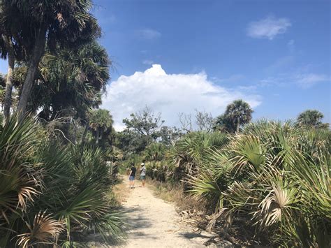 Botany Bay Edisto Island Explore Up Close