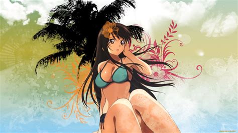 19 Anime Bikini Wallpapers Wallpaperboat