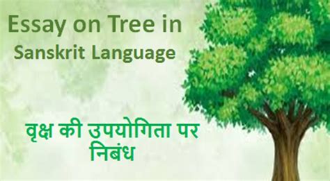 Importance Of Trees Essay In Sanskrit