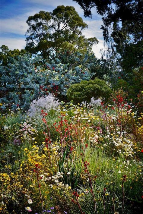 48 Stunning Front Yard Cottage Garden Inspiration Ideas Australian