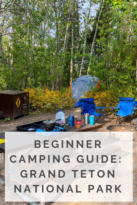 Beginners Campground Guide Signal Mountain At Grand Teton National