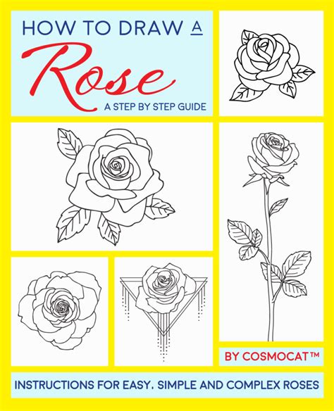 How To Draw A Beautiful Rose Flower Step By Step Each Line Is 6
