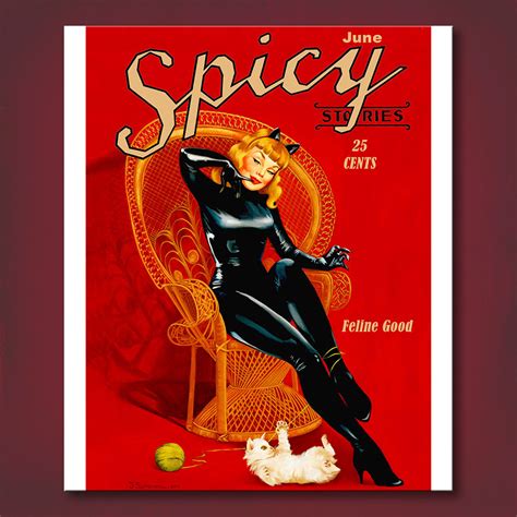 Feline Good Spicy Stories Print A Retro Style Pin Up Poster By Fiona Stephenson