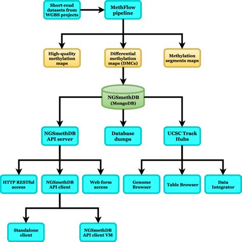 Data Flow Diagram For Ngsmethdb Indicating The Source Of Primary Data