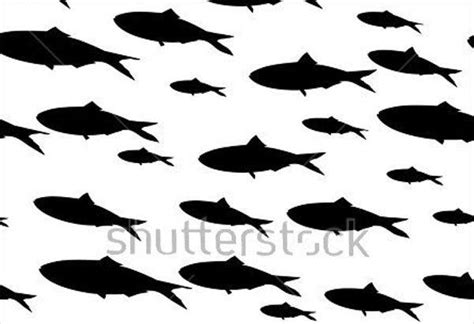 9 Fish Silhouettes Free Psd Ai Vector Eps Format Download