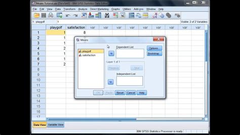 Find The Mean And Standard Deviation In Spss For Two Groups Youtube