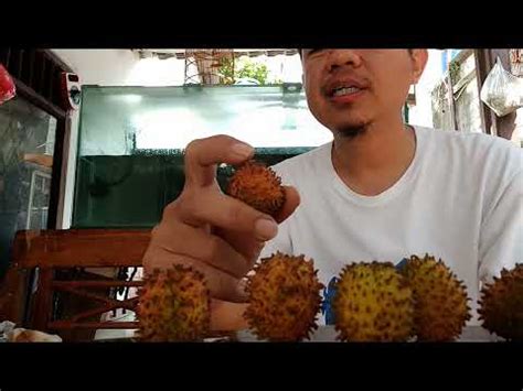 Ciri Ciri Rambutan Rapiah Asli YouTube