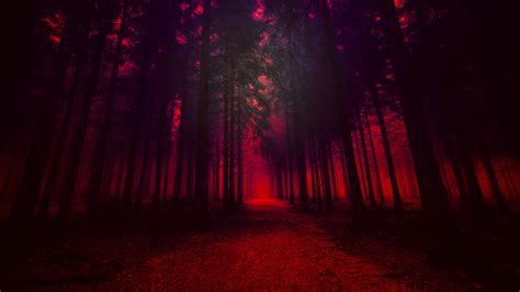 3840x2160 Artistic Red Forest 4k Hd 4k Wallpapers Images