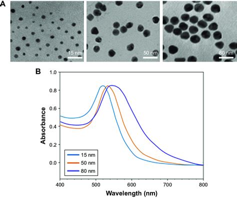 Characterization Of AuNPs With Different Sizes Notes A Typical TeM