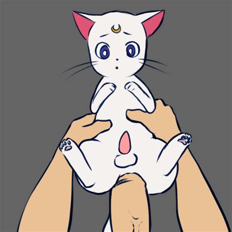 A Cat Is Fine Too By Aogami Random Bestiality Sorted