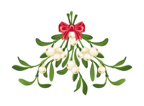 A Drawing On Mistletoe Hanging From A Red Bow Stock Photos Pictures