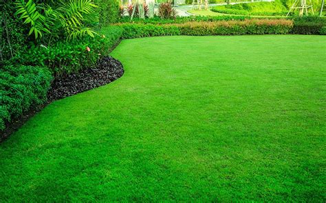 There are many services needed to keep a commercial landscape managed properly but don't worry, desert gardens landscape is here for. Residential and Commercial Landscape Design Company Pasco ...
