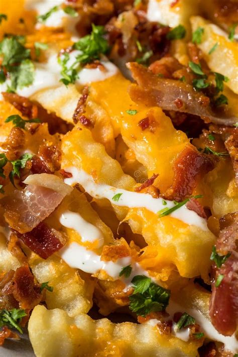 Homemade Bacon Cheddar Ranch Loaded French Fries Stock Image Image Of