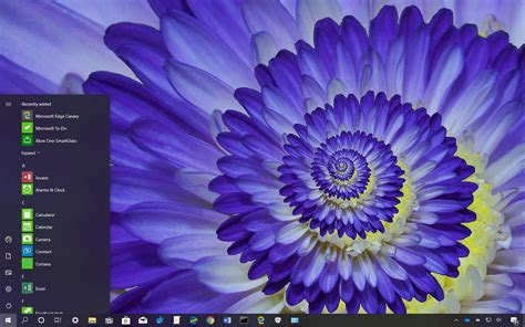 Macro Flowers Theme For Windows 10 Download Pureinfotech