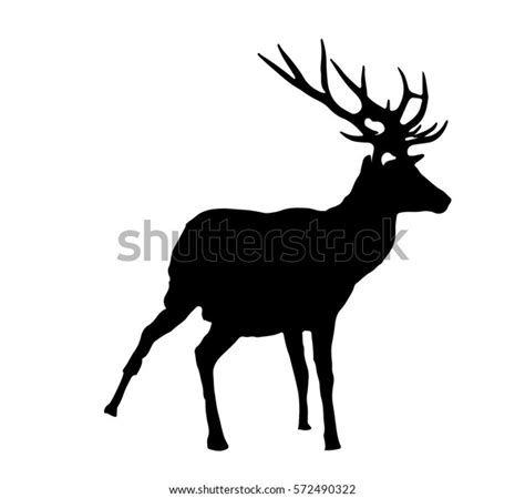 Deer Stag Wildlife Silhouette Vector Illustration Stock Vector Royalty
