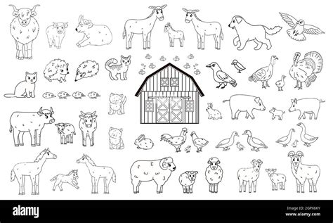 Set Of Outline Cartoon Farm Animals Vector Cute Collection Of Wooden