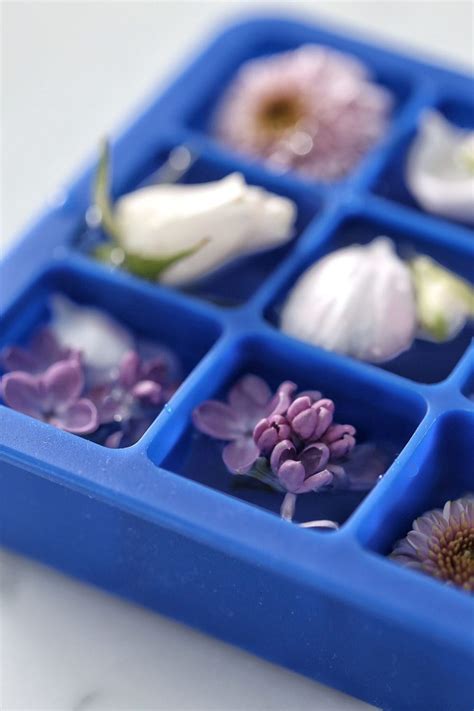 How To Make Floral Ice Cubes Jillian Harris Design Inc