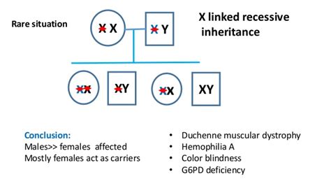 Modes Of Autosomal And Sex Linked Inheritance