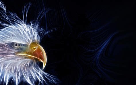 Eagles Desktop Backgrounds Wallpaper Cave