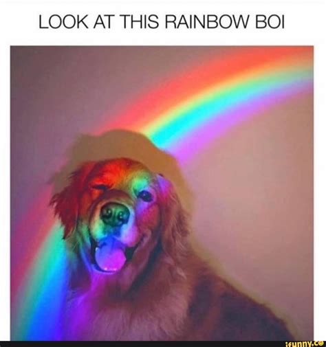 Look At This Rainbow Boi Ifunny