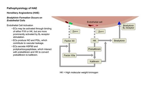 The use of fresh frozen plasma for prophylaxis in patients undergoing oral. Hereditary_Angioedema_Pathophysiology