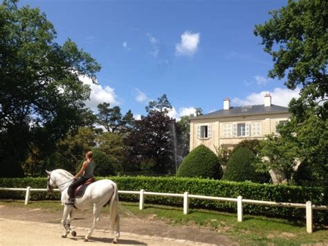 Spectacle équestre Et Visite Du Haras De La Vendée Magazine La Roche