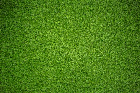 Green Grass Wallpaper Wall Mural