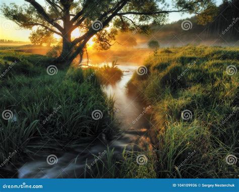 Spring Morning A Picturesque River Stock Photo Image Of Cascade