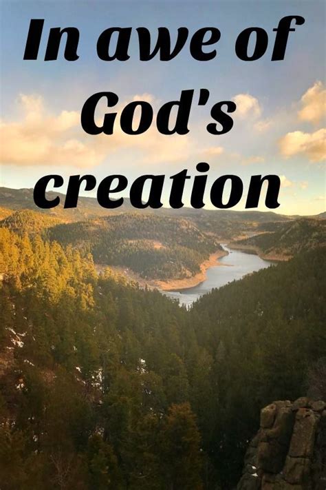 Always Amazed At Gods Creation Gods Creation Gods Creation Quotes