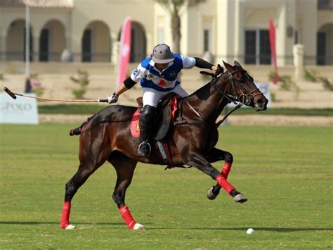 We did not find results for: Platinum One - Dubai Polo Club
