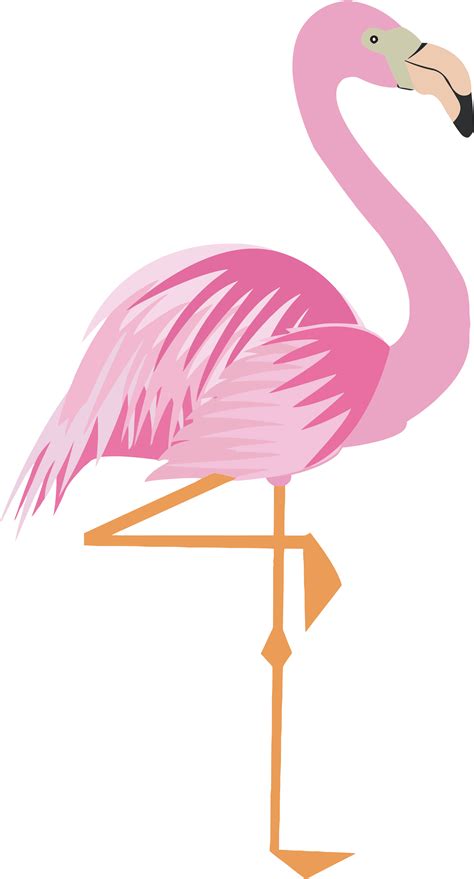 Flamingo Clipart Png Clip Art Printable Flamingoflamingo Clipart Png