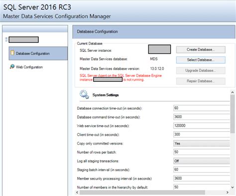 SQL Server Master Data Services Architecture