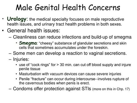 Ppt Chapter 5 Male Sexual Anatomy And Physiology Powerpoint
