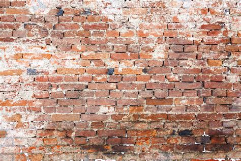 Free Download Old Brick Wall Flickr Photo Sharing 500x333 For Your