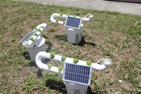 Hydroponics Solarpower Sustainability Nice Way Of Pumping The Solution A Solar Panel As The