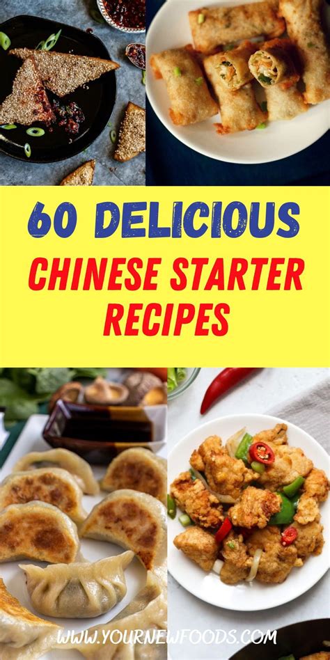 60 Delicious Chinese Starter Recipes How To Make Your Favorite Asian