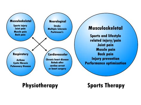 What Is The Difference Between Exercise Physiology And Physical Therapy Images